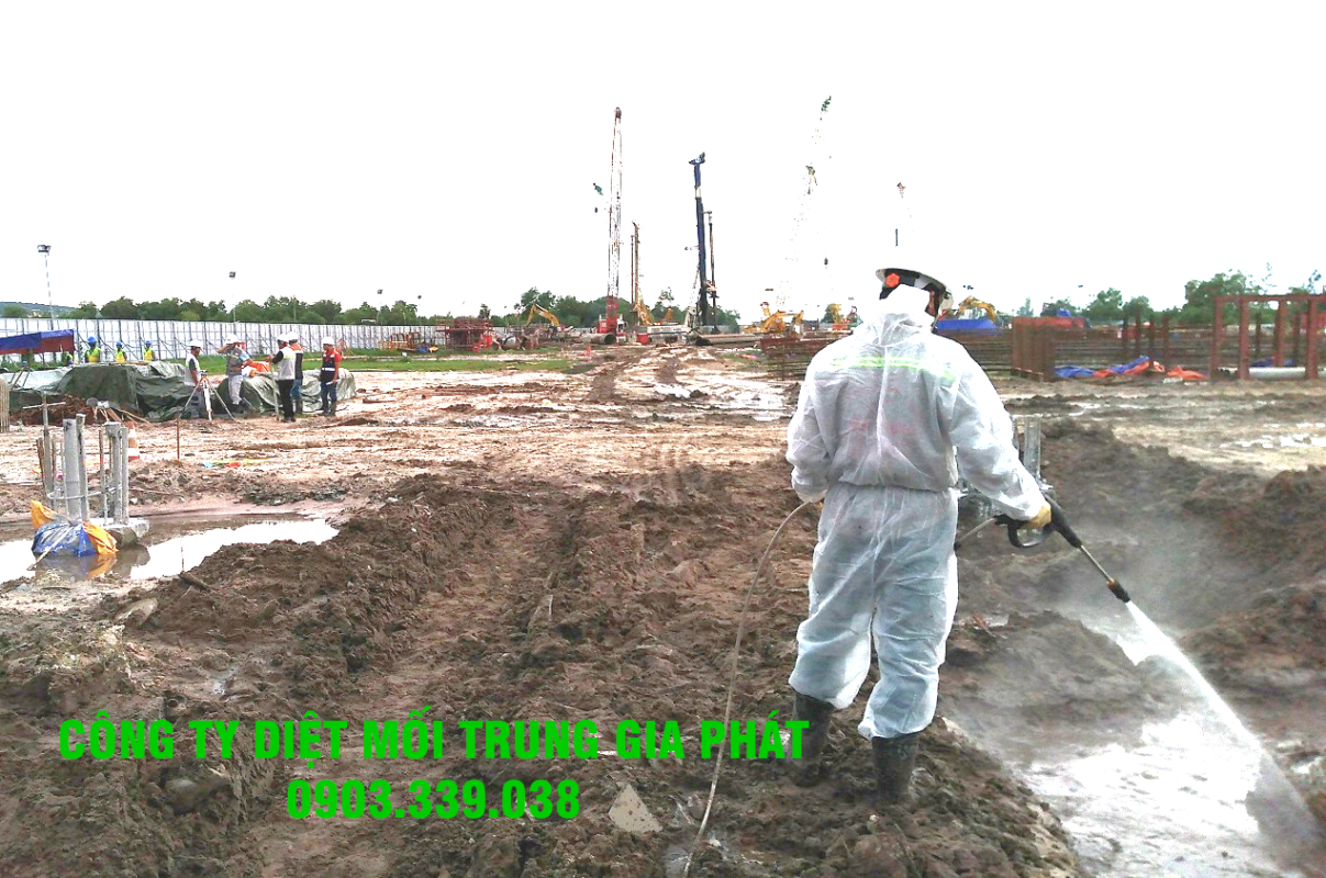 Phòng chống mối cong trình xây dựng Bình Thuận