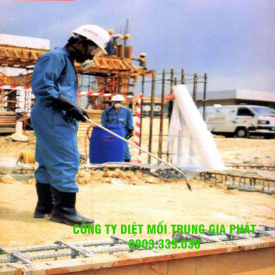 Phòng chống mối công trình xây dựng tại Bình Thuận