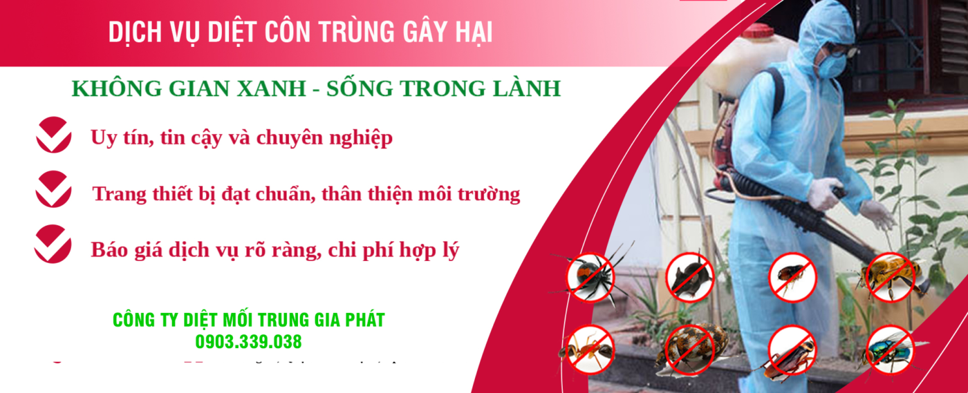 Dịch vụ diệt côn trùng uy tín tại Bình Thuận