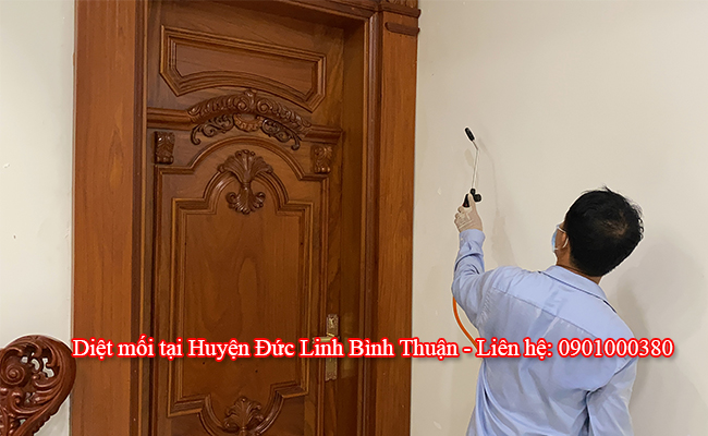 Diệt mối tại Huyện Đức Linh - Bình Thuận