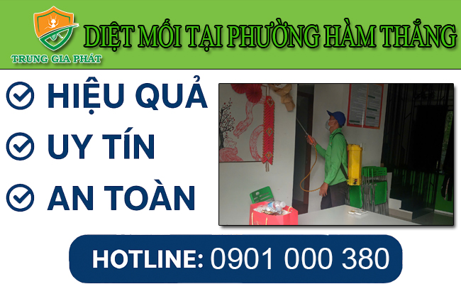 Dịch vụ diệt mối tại Phường Hàm Thắng giá cạnh tranh Dịch vụ diệt mối tại Phường Hàm Thắng giá cạnh tranh