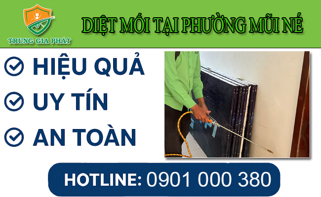 Dịch vụ diệt mối tại Phường Mũi Né chuyên nghiệp. Dịch vụ diệt mối tại Phường Mũi Né chuyên nghiệp.