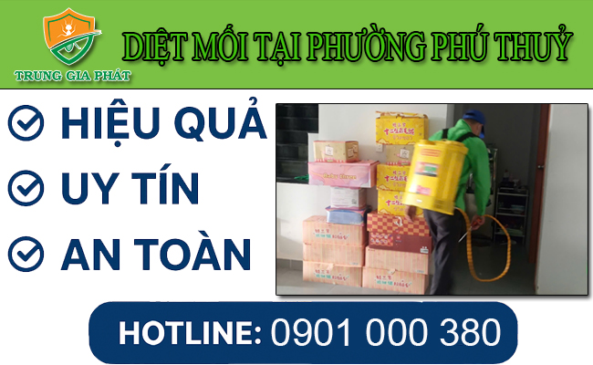 Dịch vụ diệt mối tại Phường Phú Thuỷ Lâm Đồng chất lượng Dịch vụ diệt mối tại Phường Phú Thuỷ Lâm Đồng chất lượng