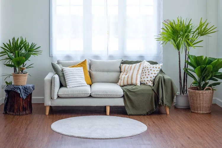 Phòng khách chật hơn vì 5 lỗi, chuyên gia chỉ cách sửa - 1 Phòng khách chật hơn vì 5 lỗi, chuyên gia chỉ cách sửa - 1