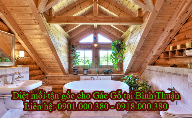 Dịch vụ diệt mối gác gỗ tại Bình Thuận chuyên nghiệp